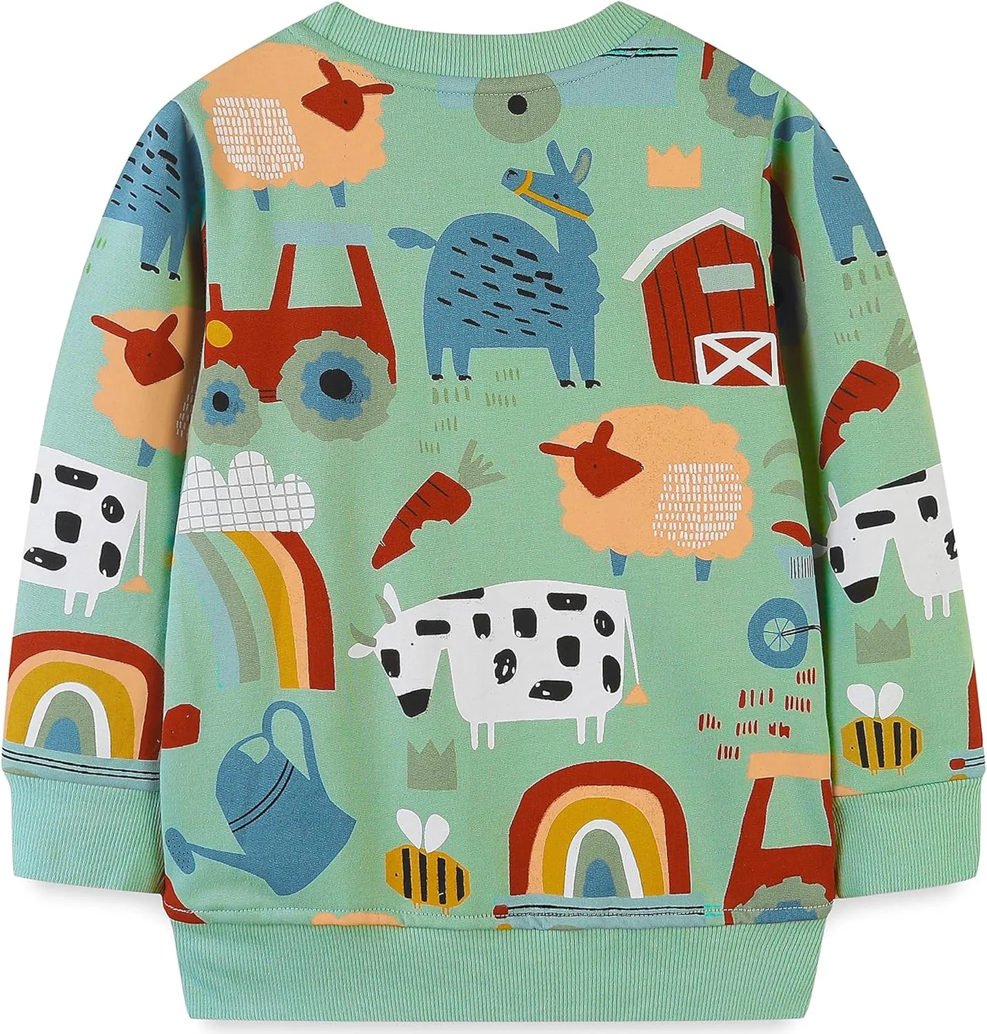 AIWUHE Toddler Sweatshirt Boys Girls Crewneck Pullover Tops Blouse Long Sleeve Cotton T-Shirt Fall Winter Clothes 2-6Y